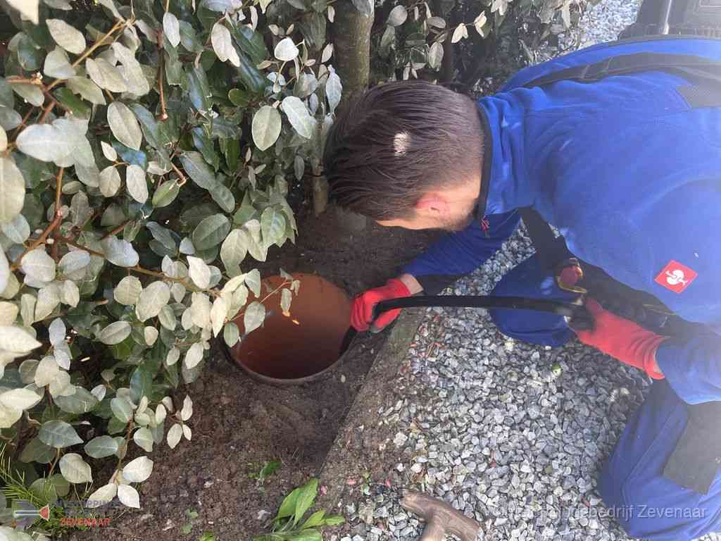 Rioolvliegjes Zevenaar